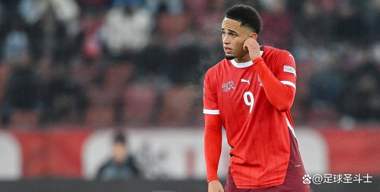 瑞士队的主, 这倒是很实